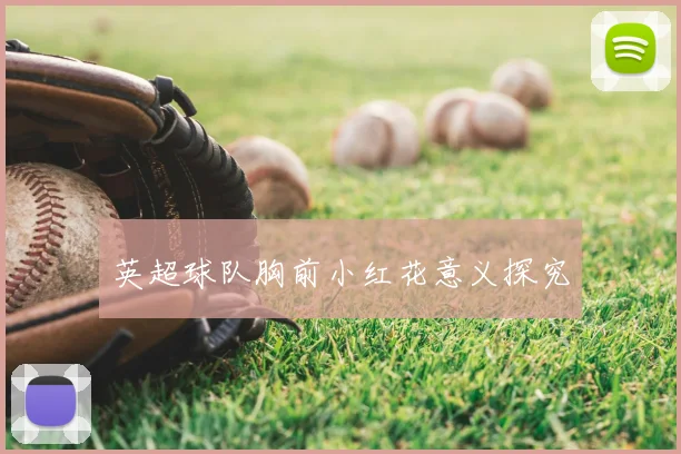 英超球队胸前小红花意义探究