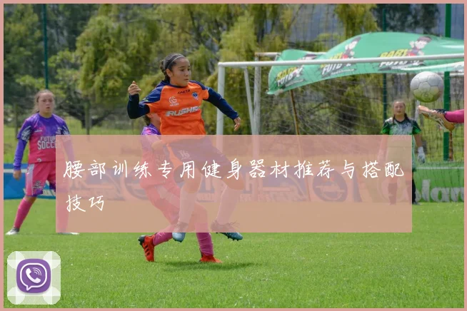 腰部训练专用健身器材推荐与搭配技巧