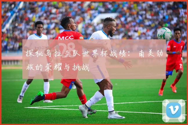 探秘乌拉圭队世界杯战绩：南美劲旅的荣耀与挑战
