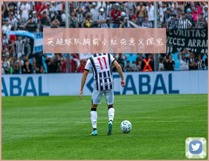 英超球队胸前小红花意义探究