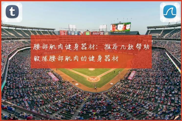 腰部肌肉健身器材:推荐几款帮助锻炼腰部肌肉的健身器材