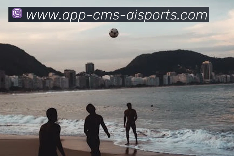 爱体育APP发展历程